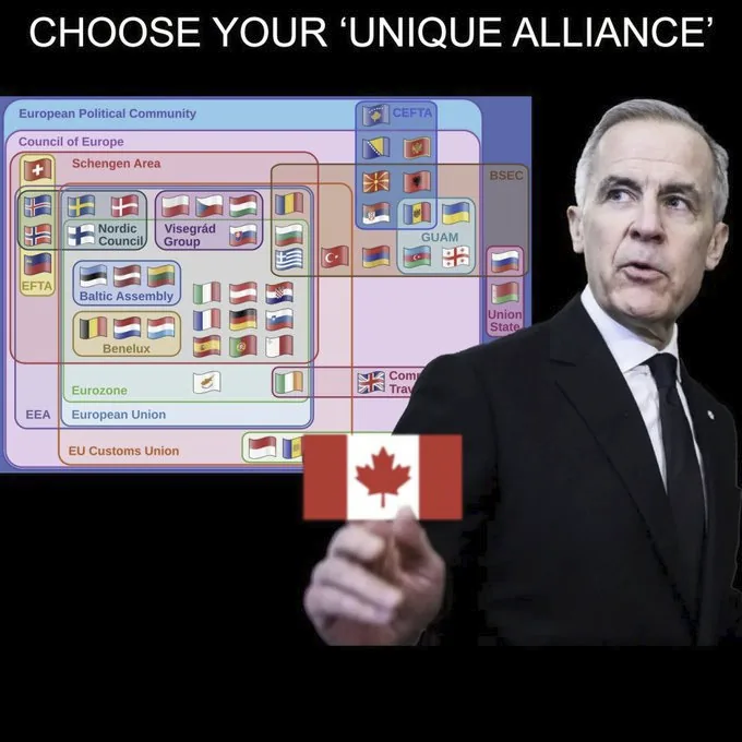 Canada is looking for a unique alliance with the EU but there are already so many!